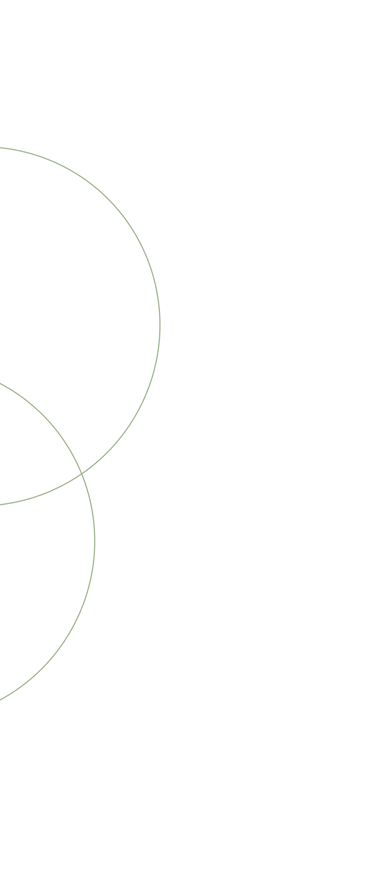 Círculos decorativos