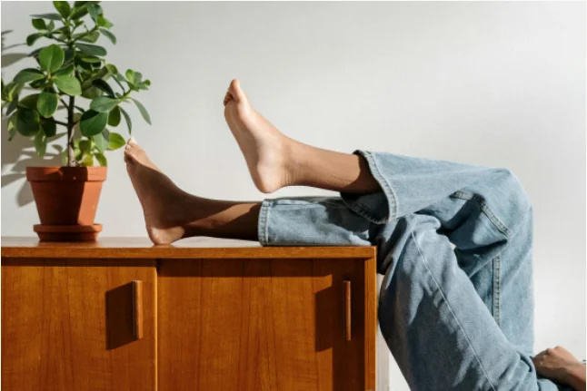 Bienvenido a Alaska Circular