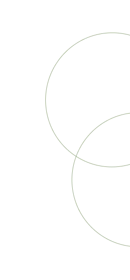 Círculos decorativos